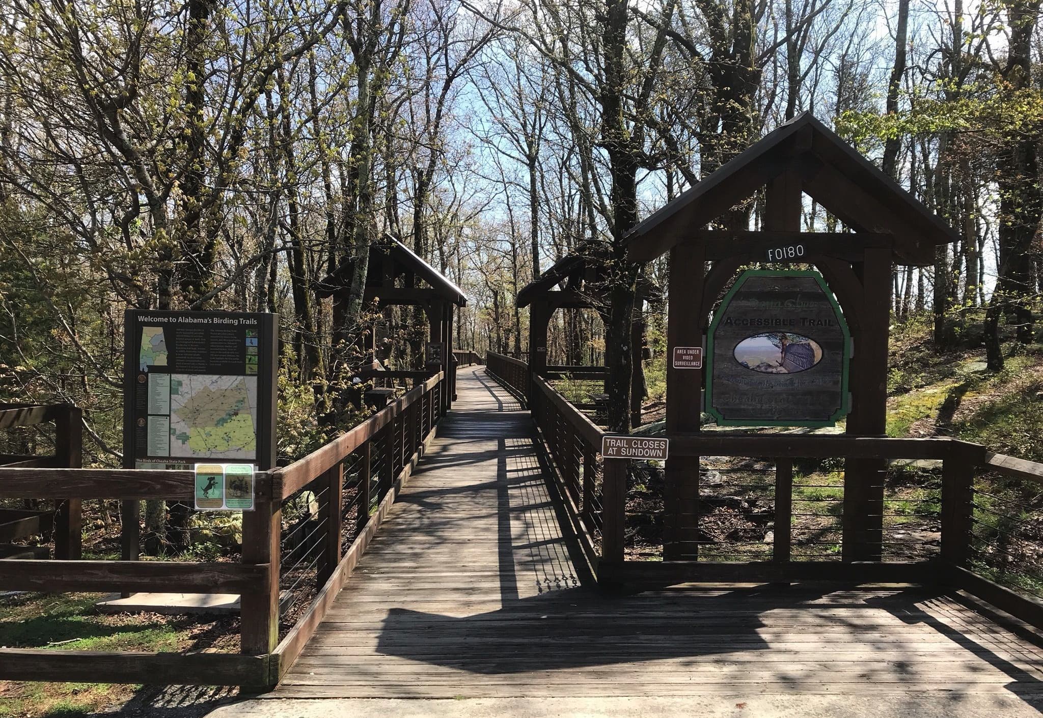 boardwalk-11