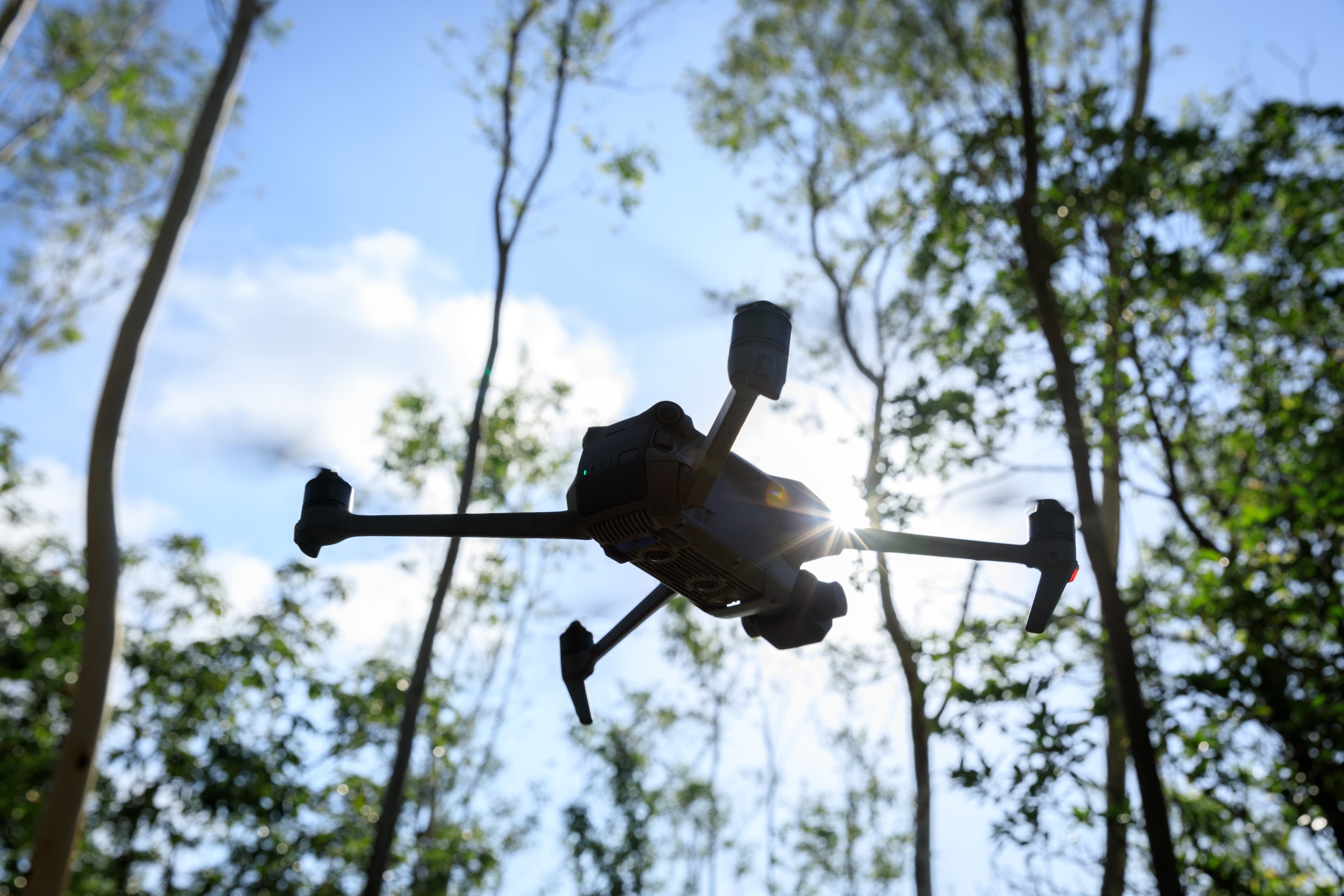 Flying drone in summer forest