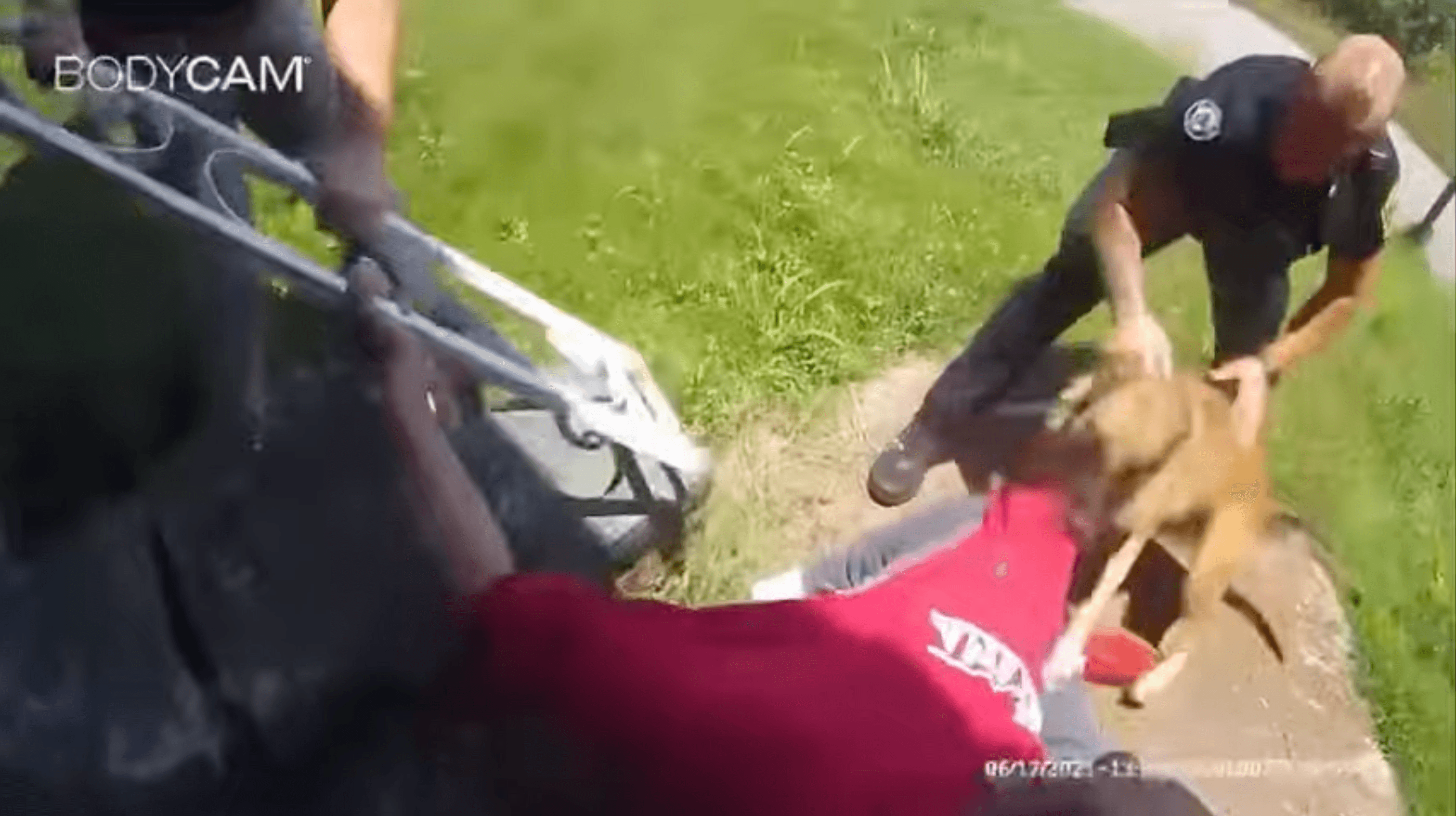 Body camera footage shows Sheffield police sicking a police dog on an unarmed Black man.