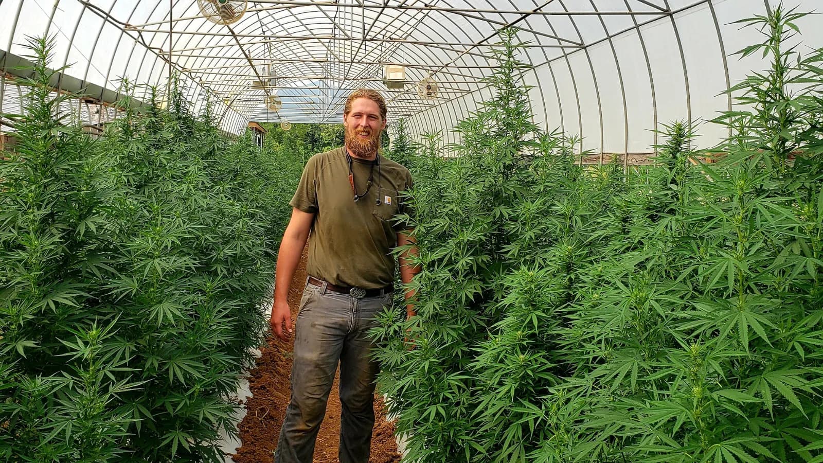 Sustainable COO Ben Bramlett at the company's hemp growing facility.
