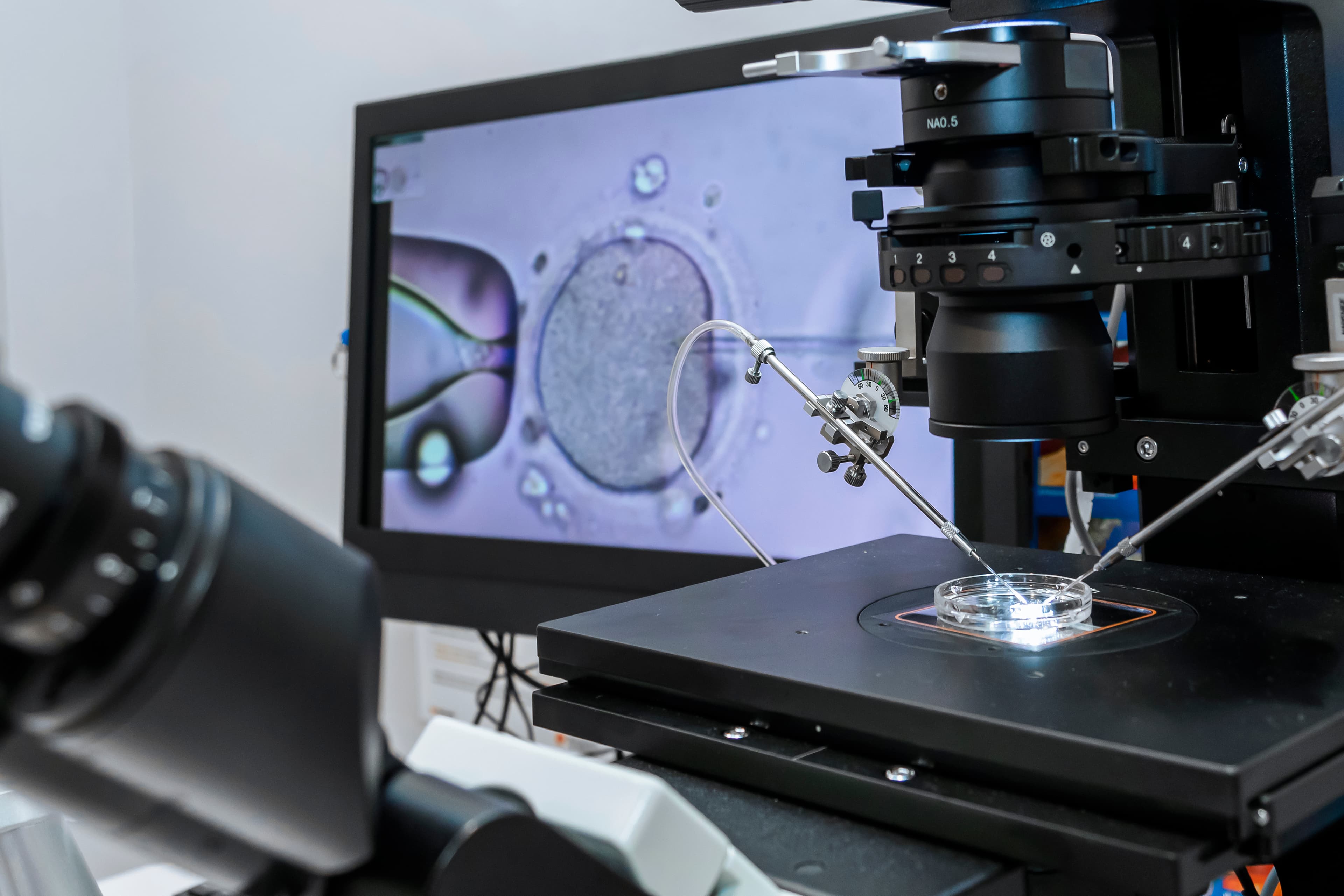 Modern IVF micromanipulator with Petri Dish in the laboratory of the in vitro fertilization. for insemination of the egg freezing. Sperm cryopreservation. Ovum fertilization procedure