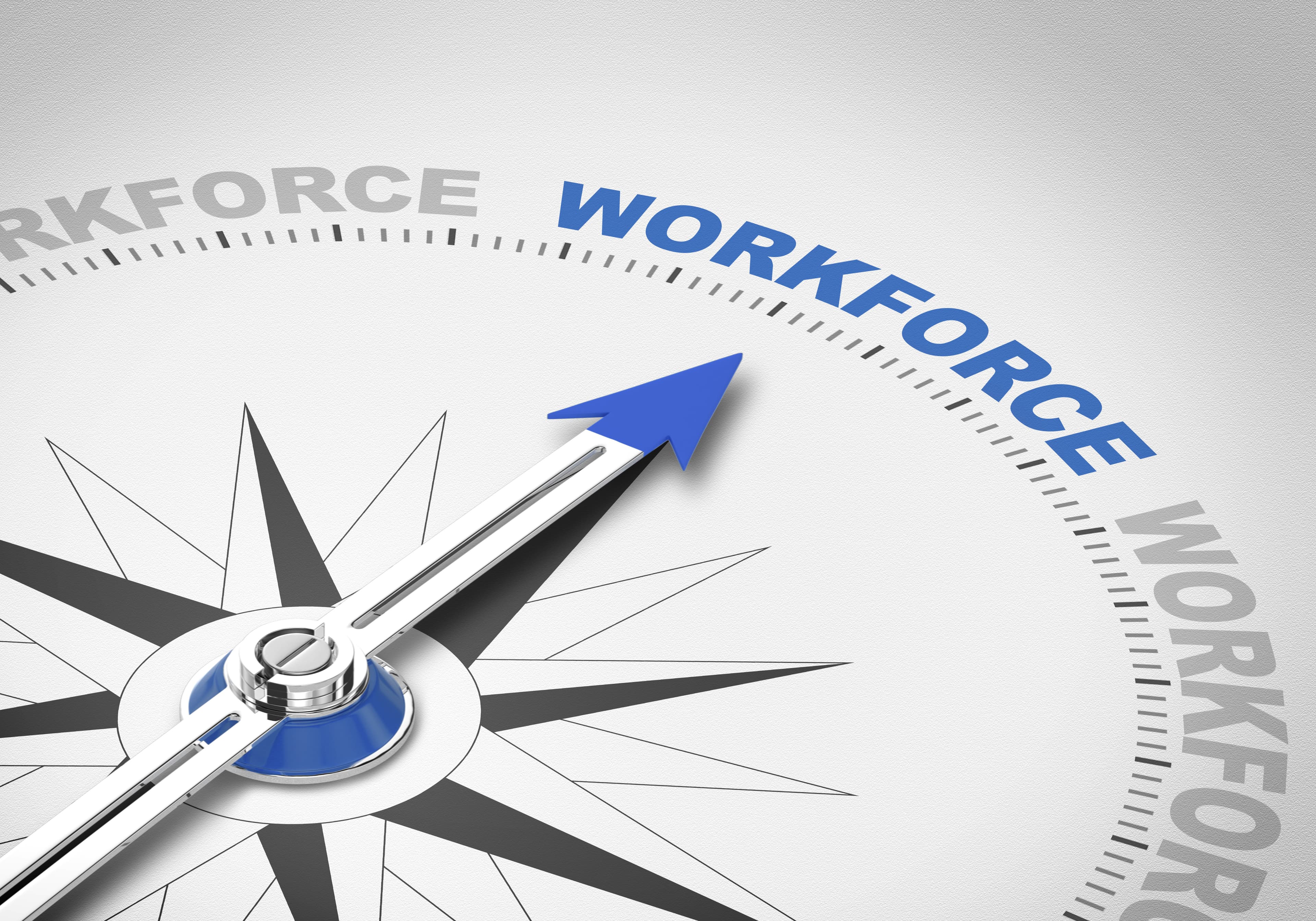 Workforce