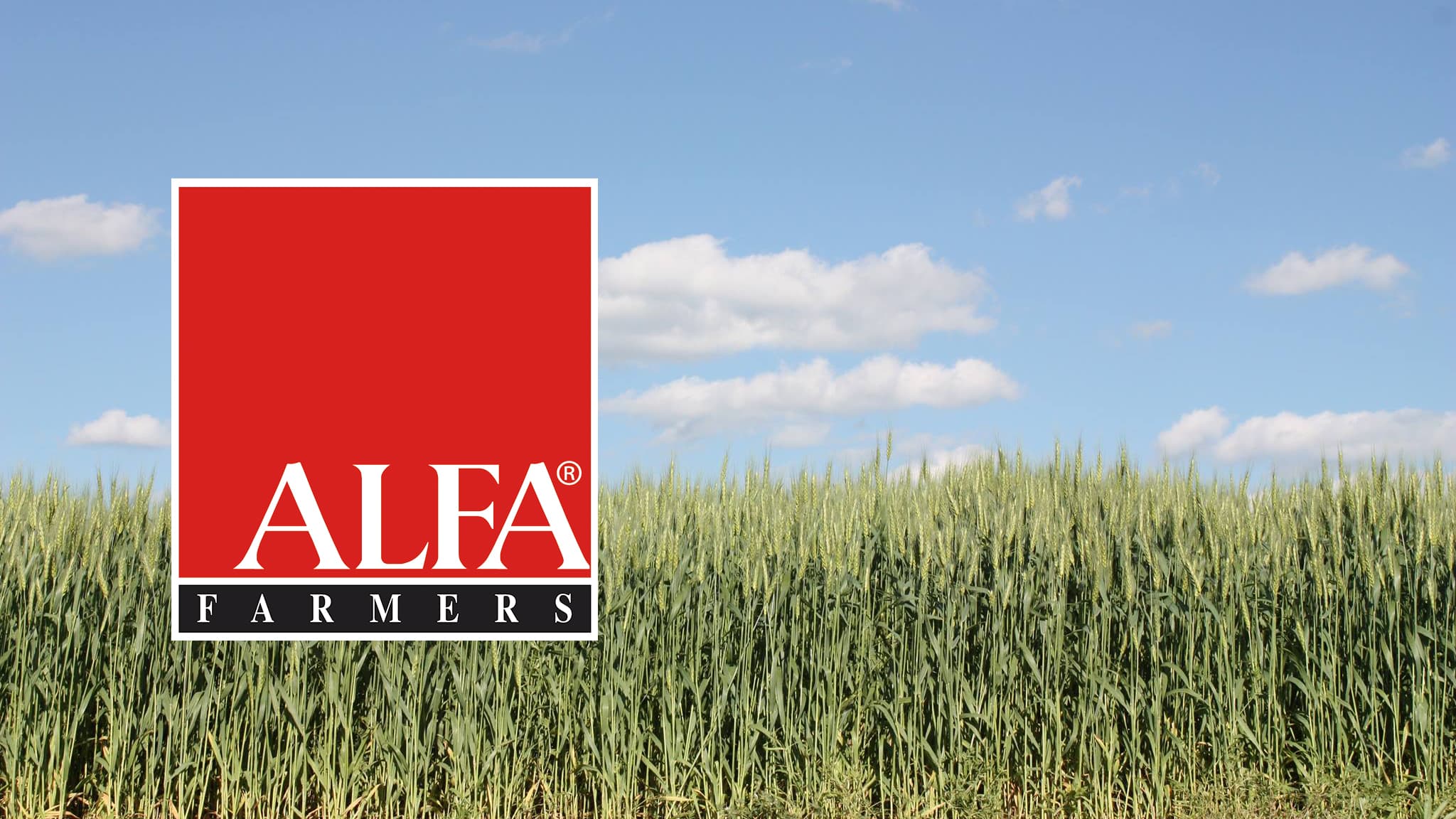 The logo of the Alabama Farmer's Federation.