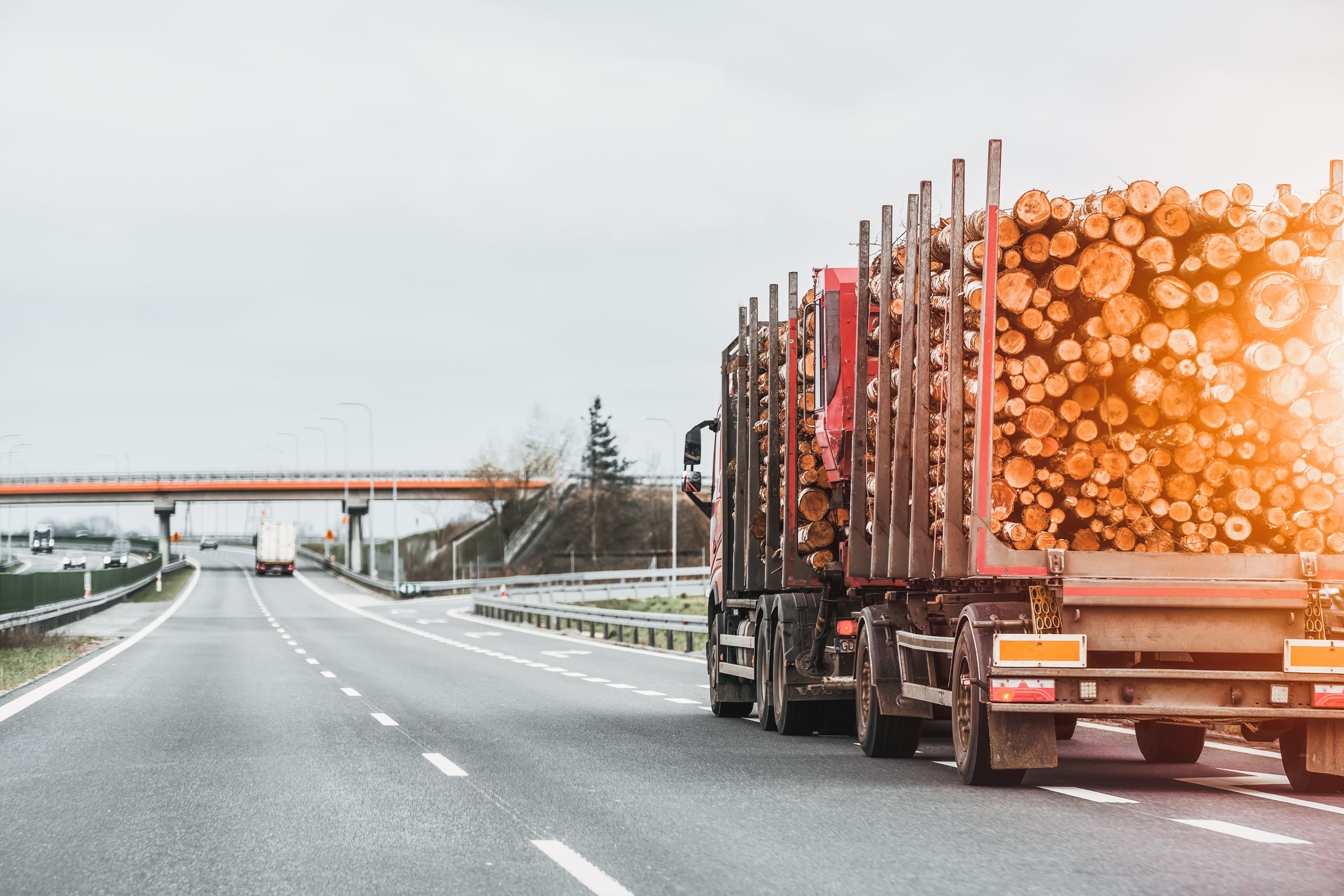 Timber Truck Transporting Logs. Exporting Wood on a Highway with a Trailer Full of Logs. A truck is transporting logs on a semi-trailer on a suburban asphalt highway on a summer day.
