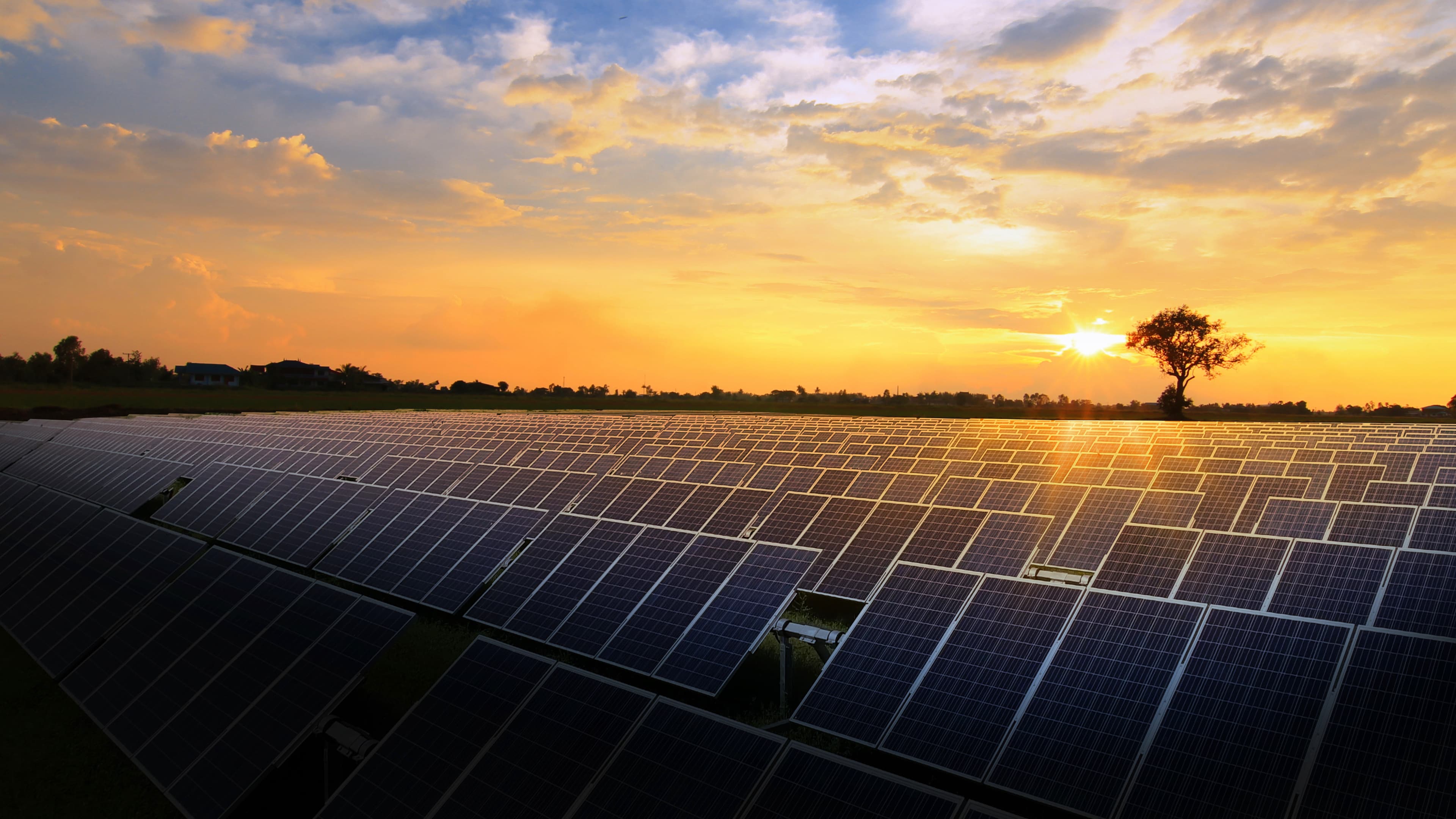 Solar farm