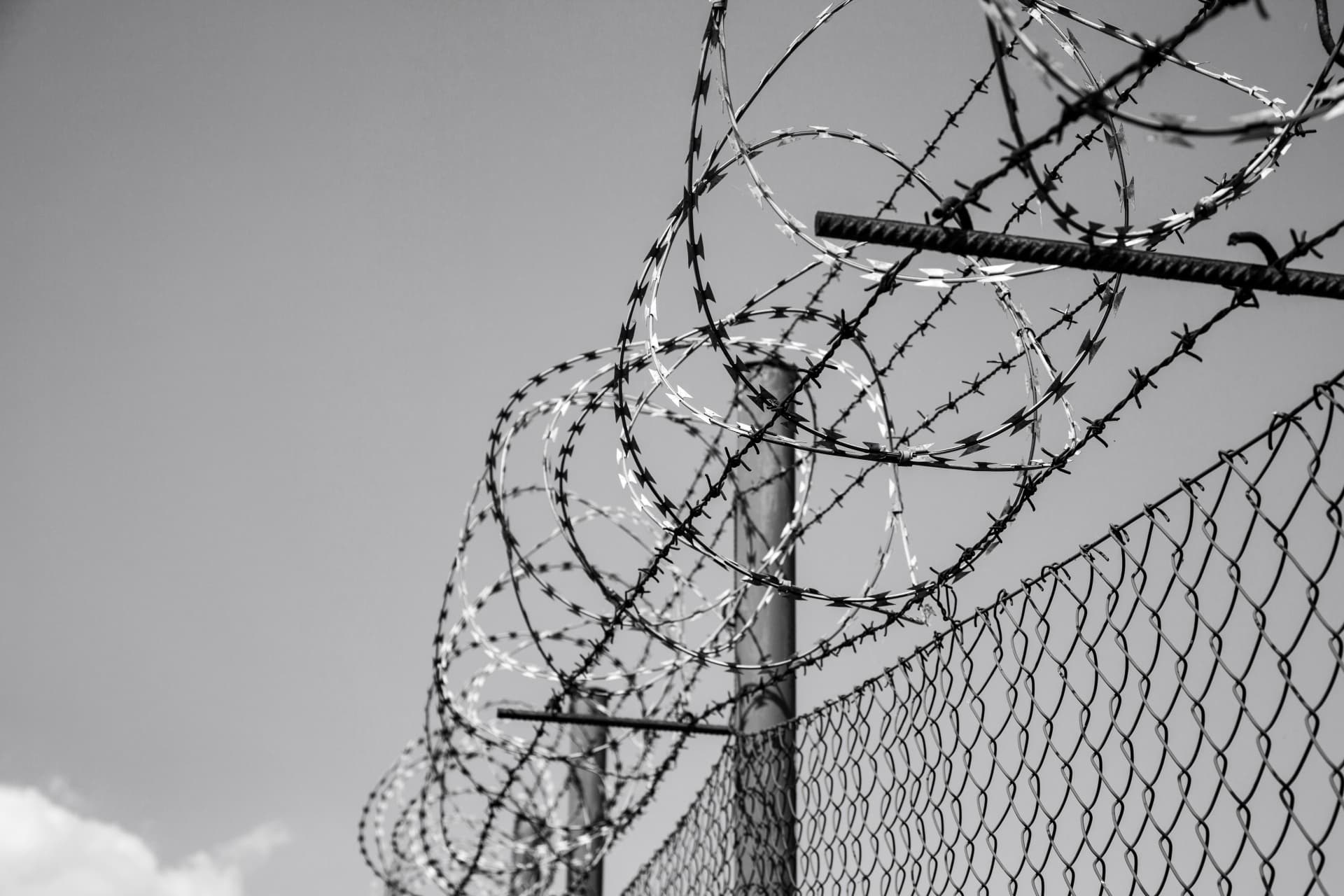 barbed-wire-1463941943o2K