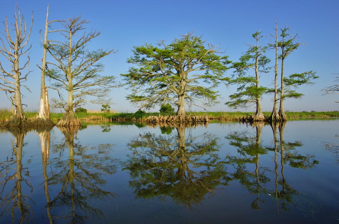 Mobile_River_Delta