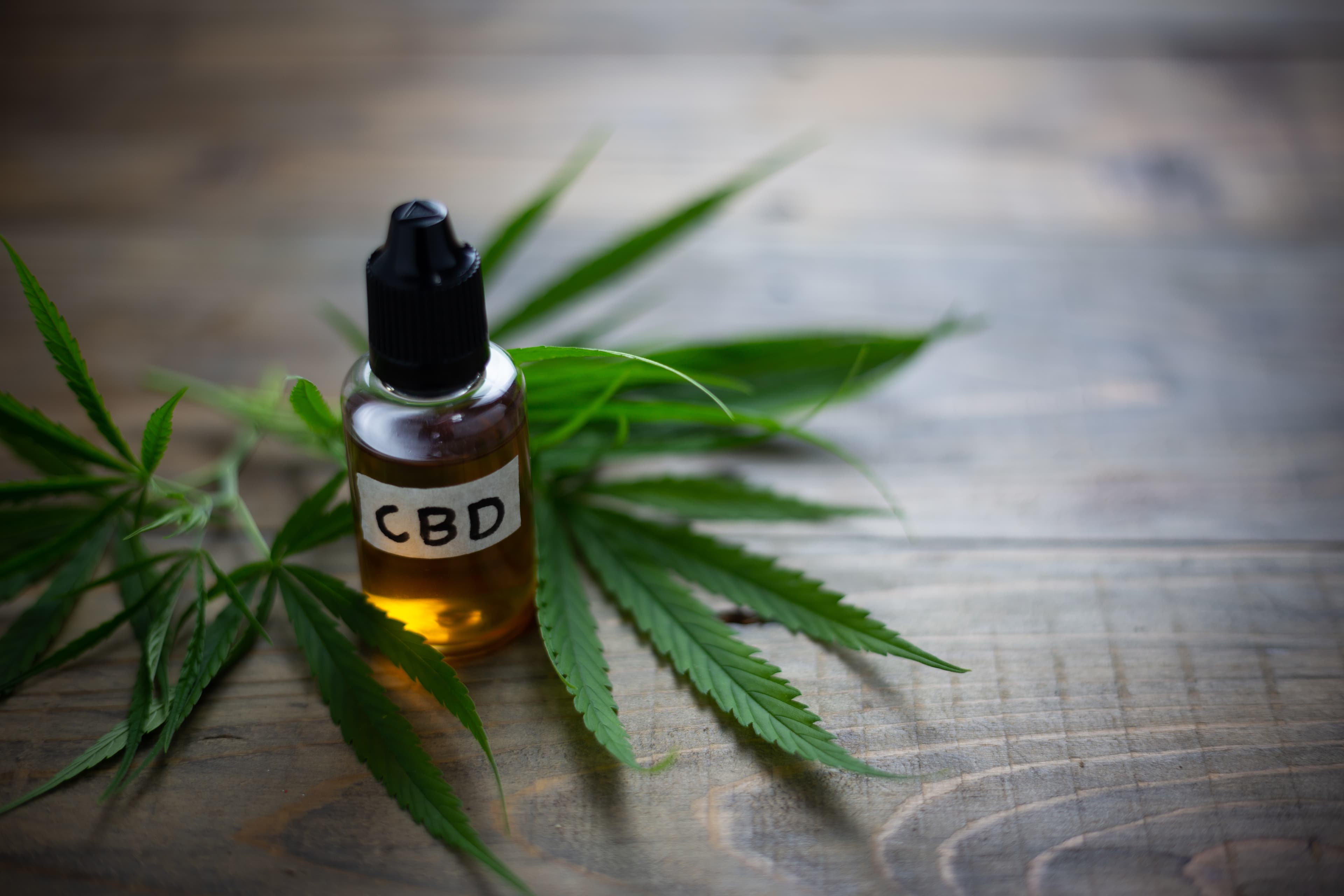Medicinal cannabis with extract oil in a bottle