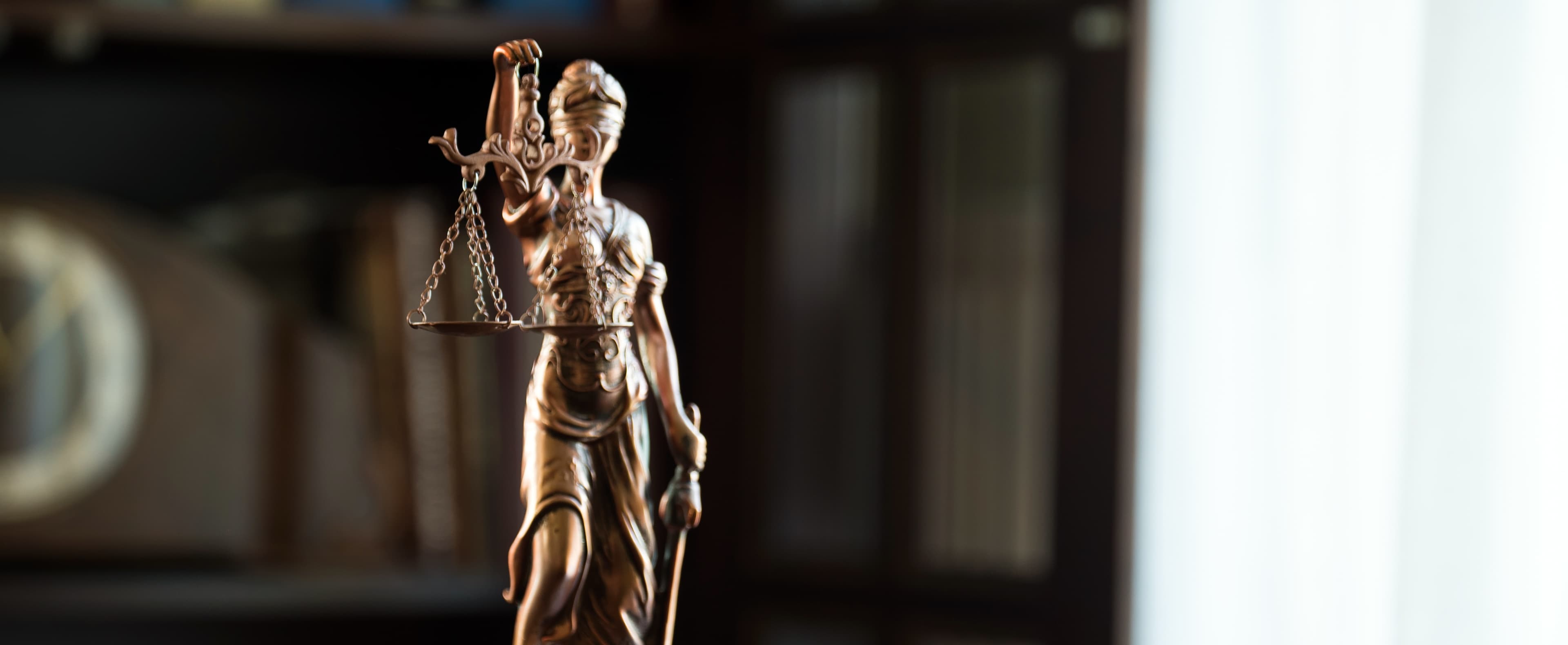 Themis figure in library