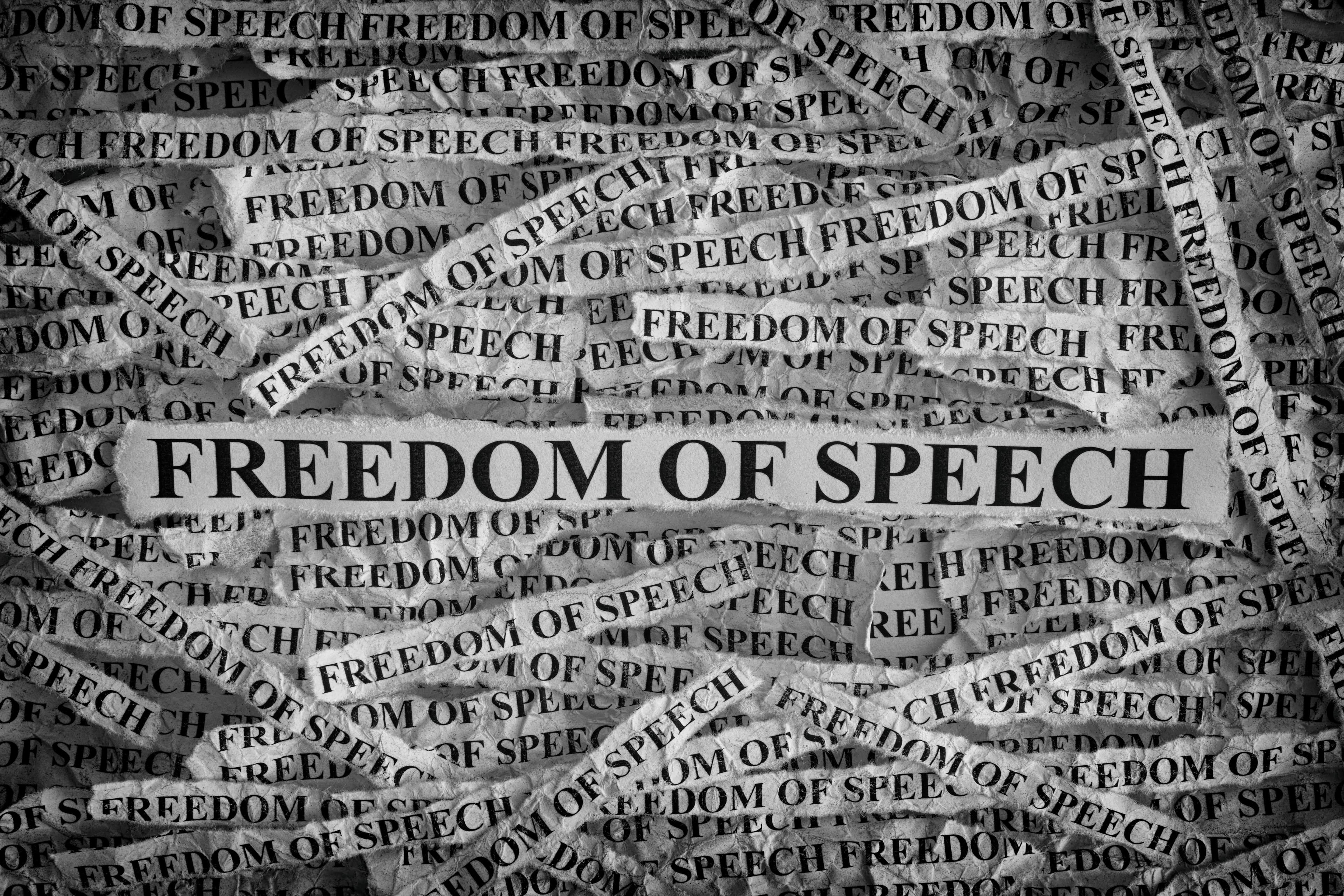Freedom of speech. Torn pieces of paper with the words Freedom of speech. Concept Image. Black and White. Closeup.