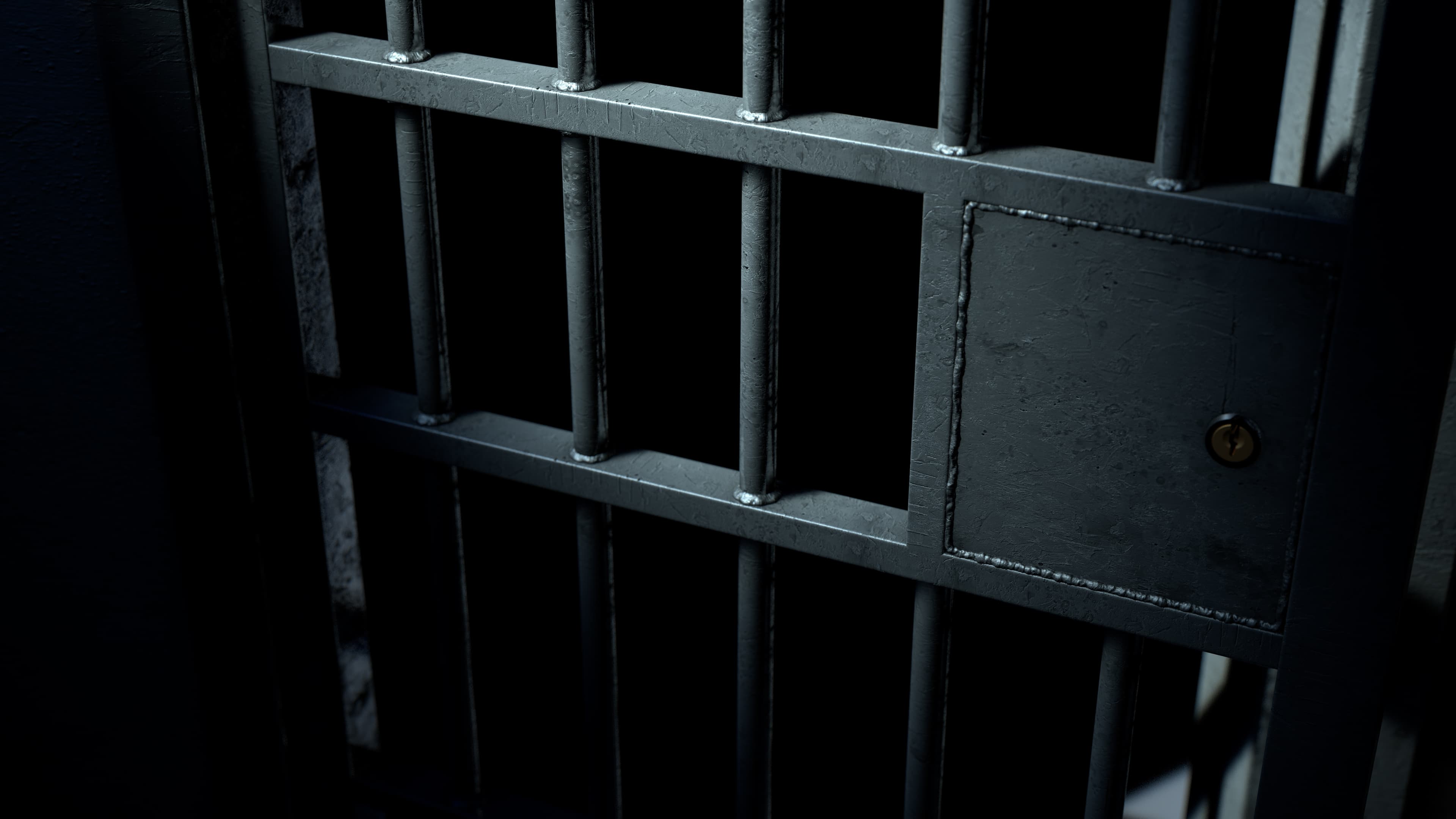 Jail Cell Door And Welded Iron Bars