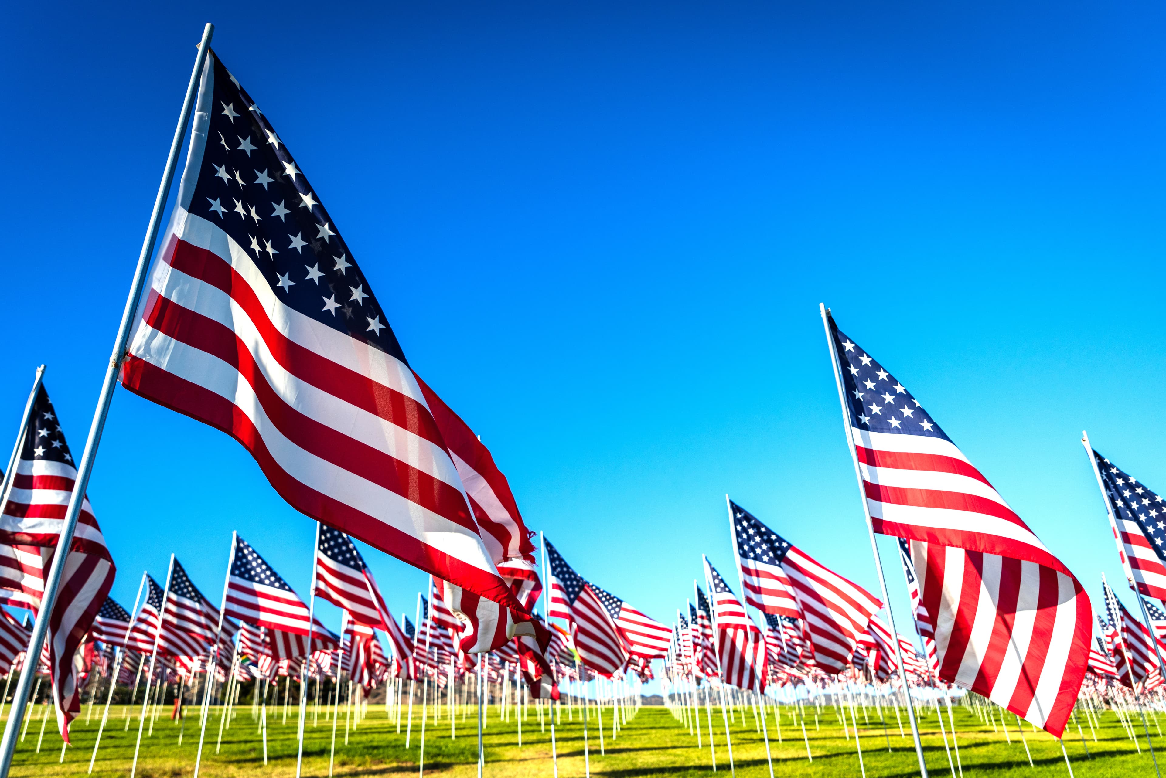 A large group of American flags. Veterans or Memorial day display