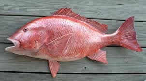 redsnap