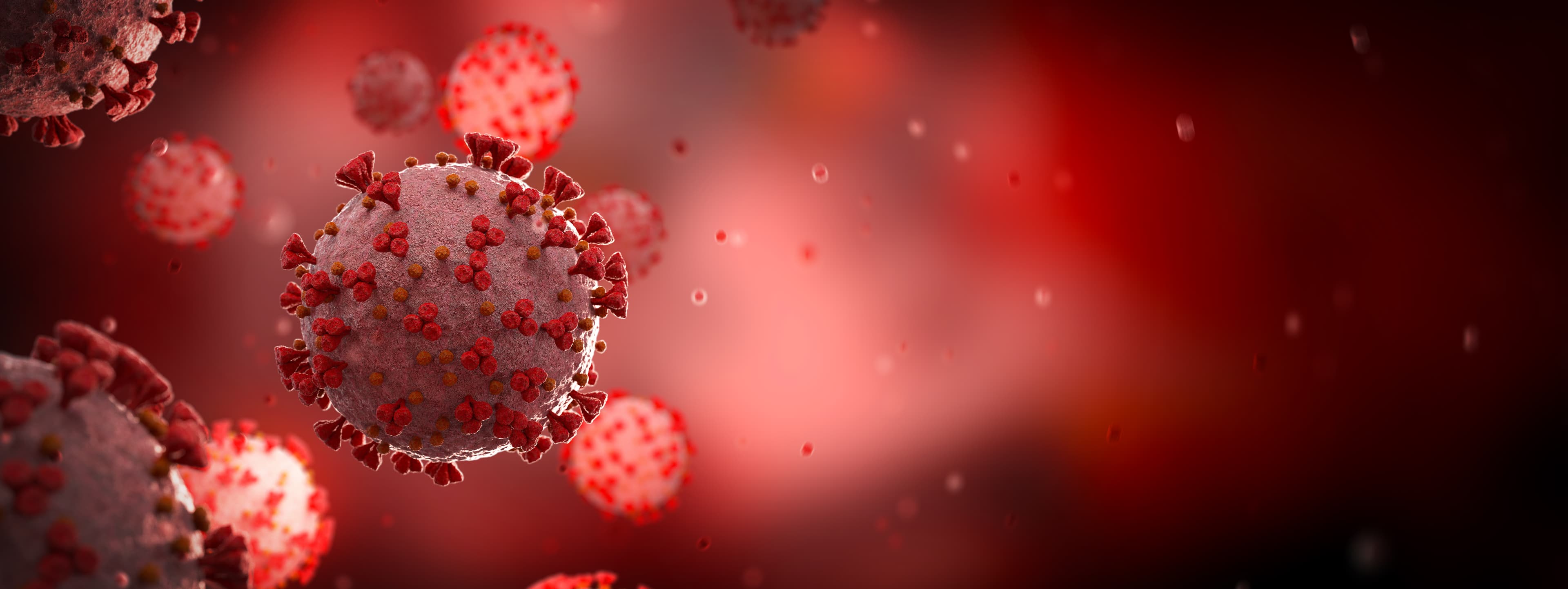 Microscopic close-up of the covid-19 disease. Coronavirus illness spreading in body cell. 2019-nCoV analysis on microscope level 3D rendering