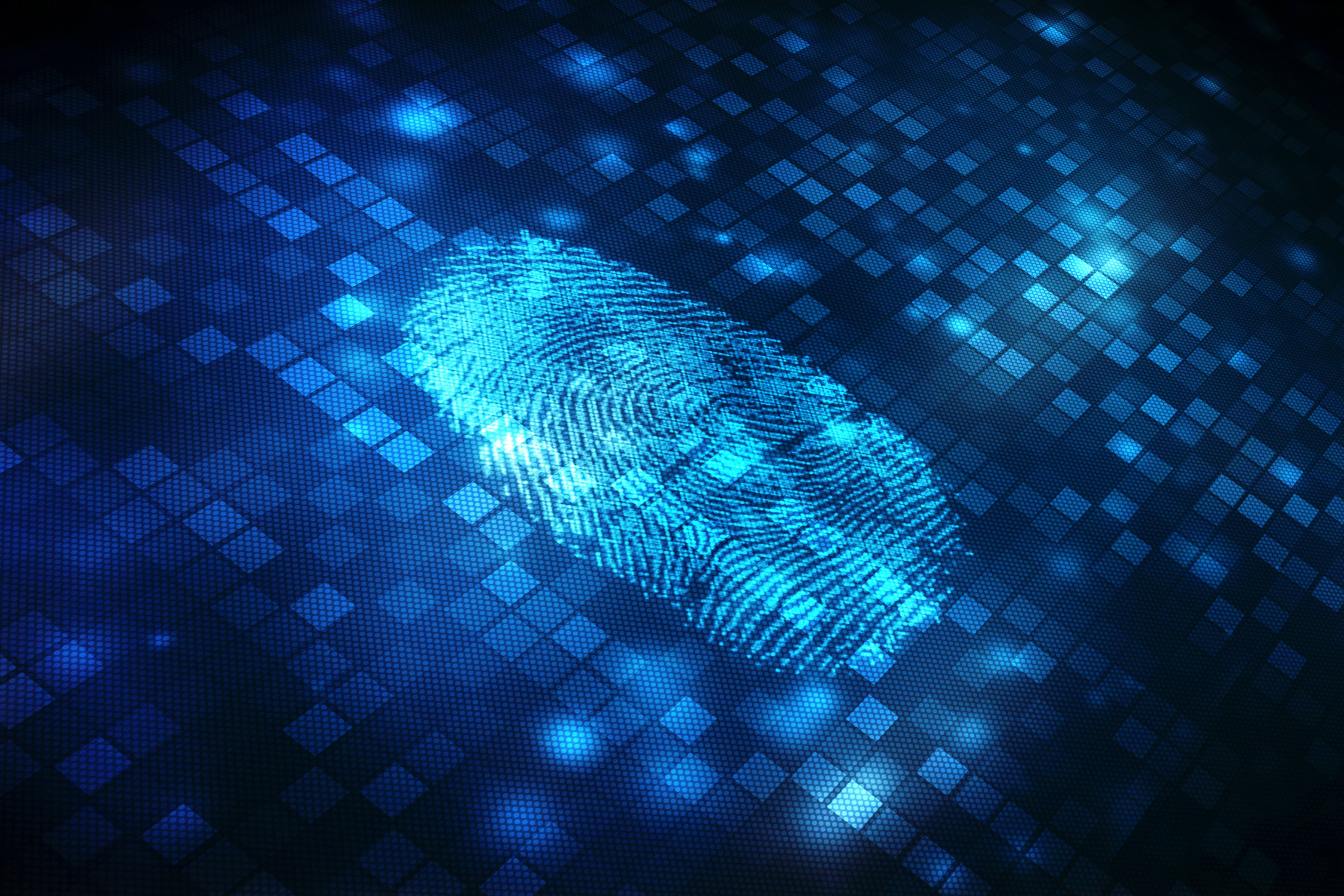 Fingerprint Scanning Identification System. Biometric Authorizat