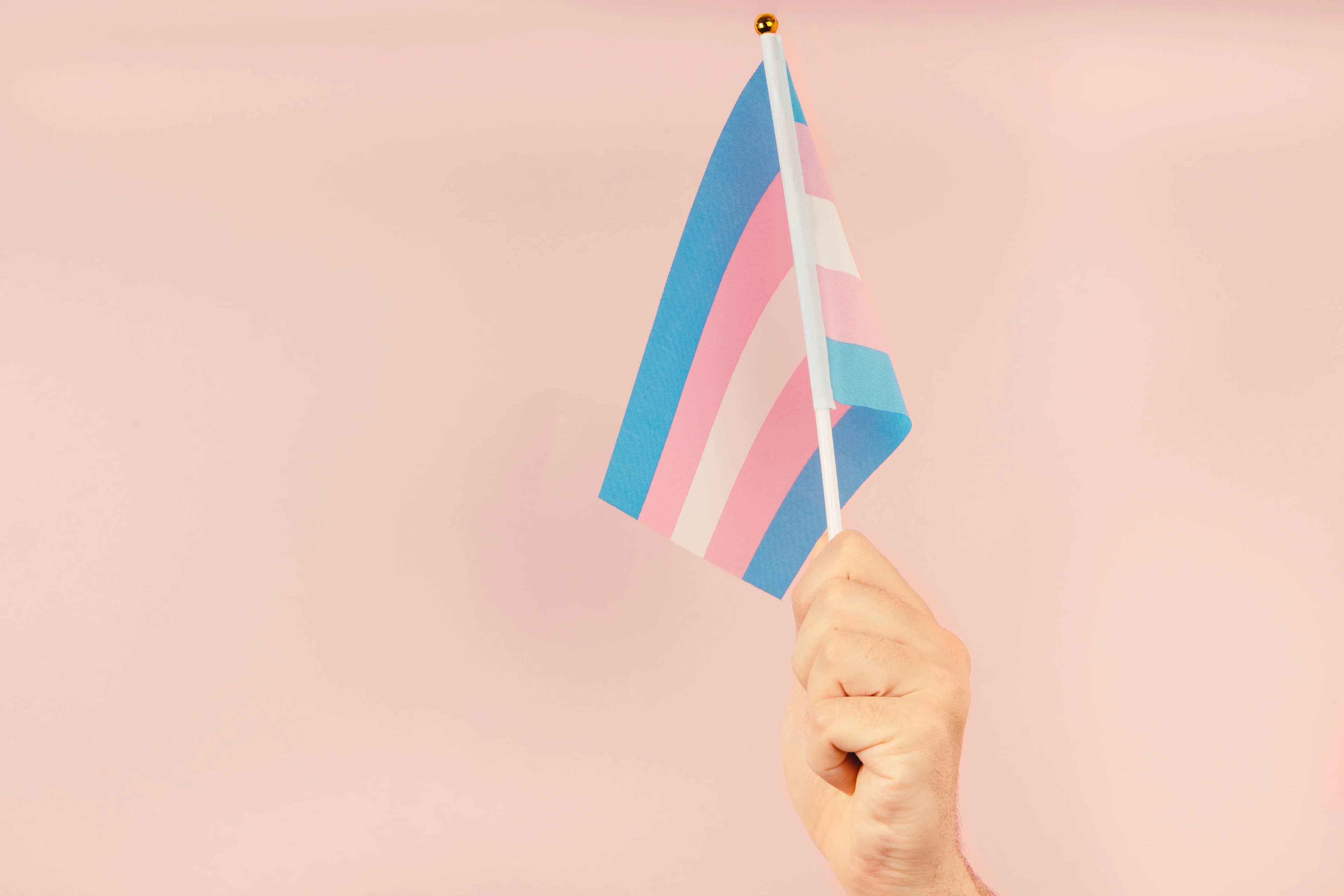 Hand holding flag in transgender pride colours