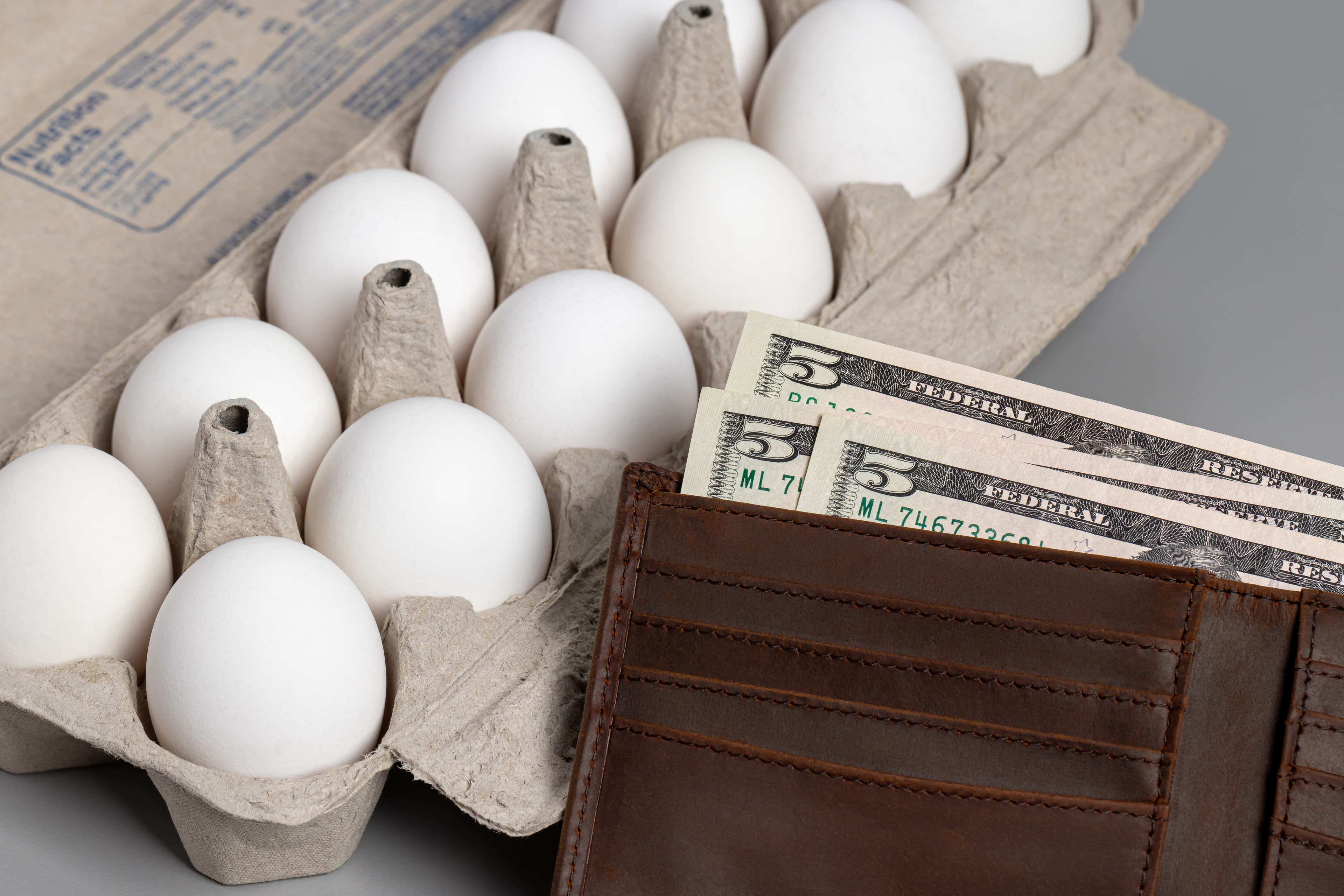 Fresh white chicken eggs in carton with cash money. Egg prices, H5N1 avian bird flu and poultry farming concept.