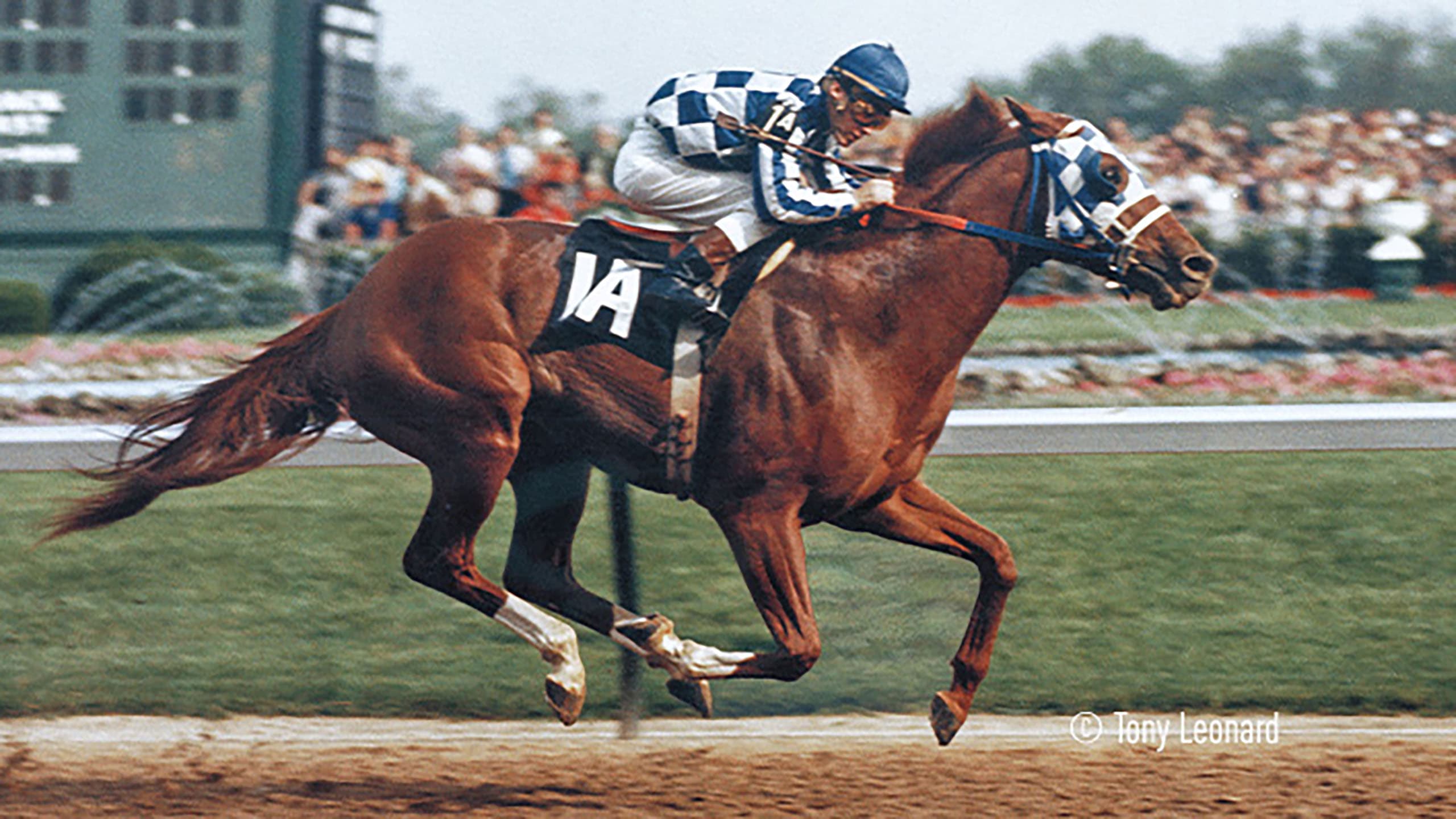 Secretariat