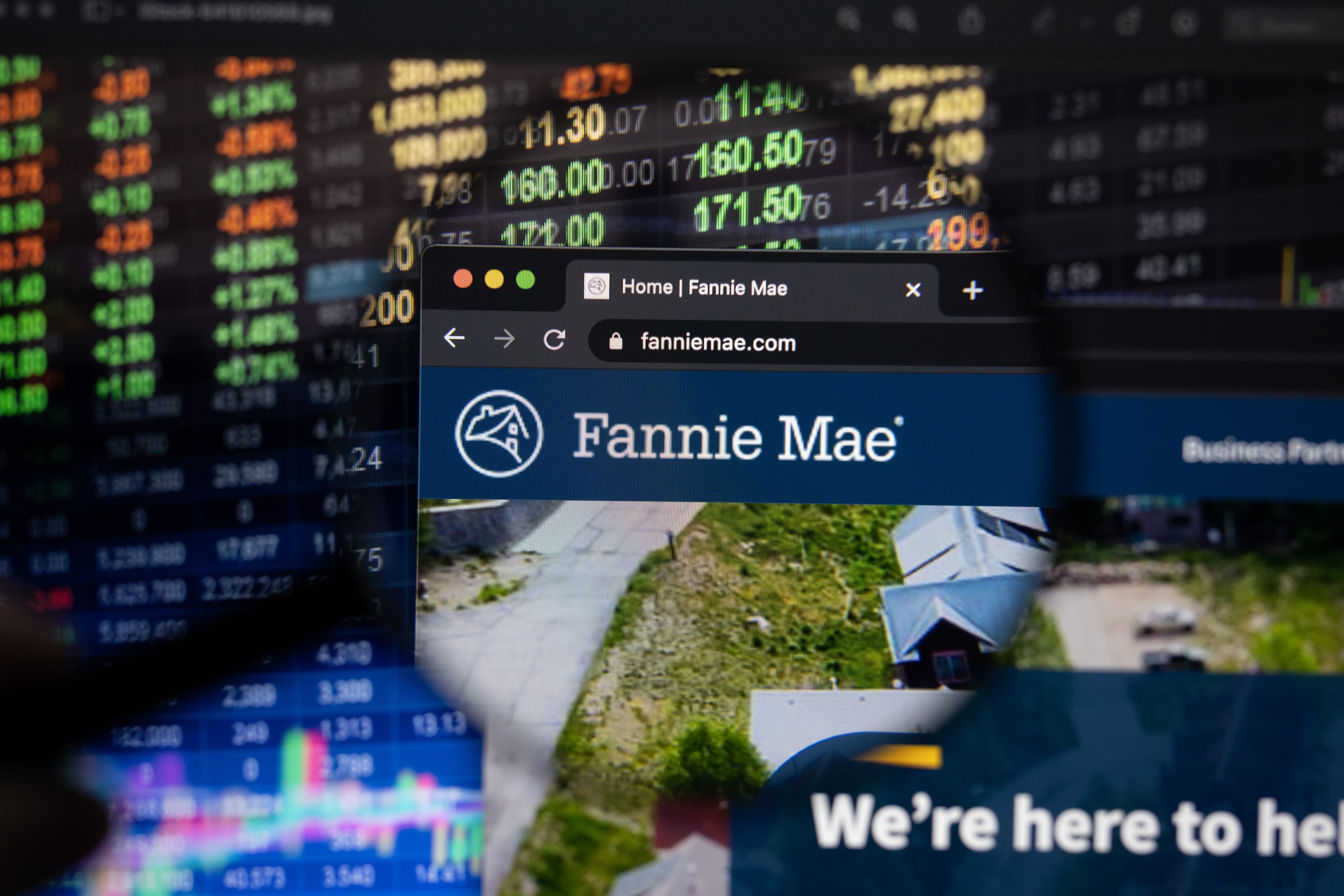 Fannie Mae company logo on a website with blurry stock market developments in the background, seen on a computer screen through a magnifying glass