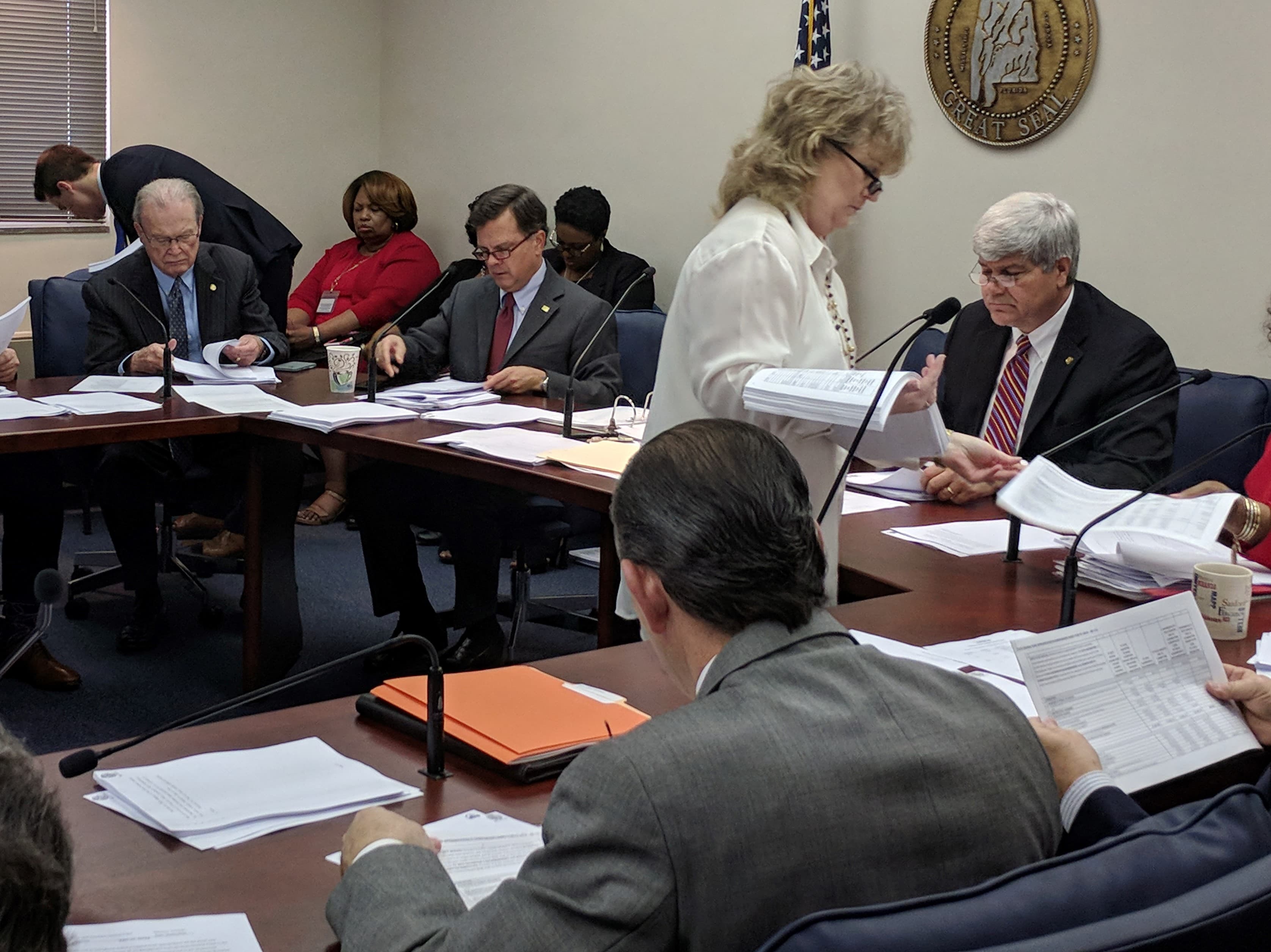 State senators receive copies of the 2019 general fund budget during a Senate Finance and Taxation General Fund Committee meeting in February 2018. (Courtesy: Samuel Mattison, APR)