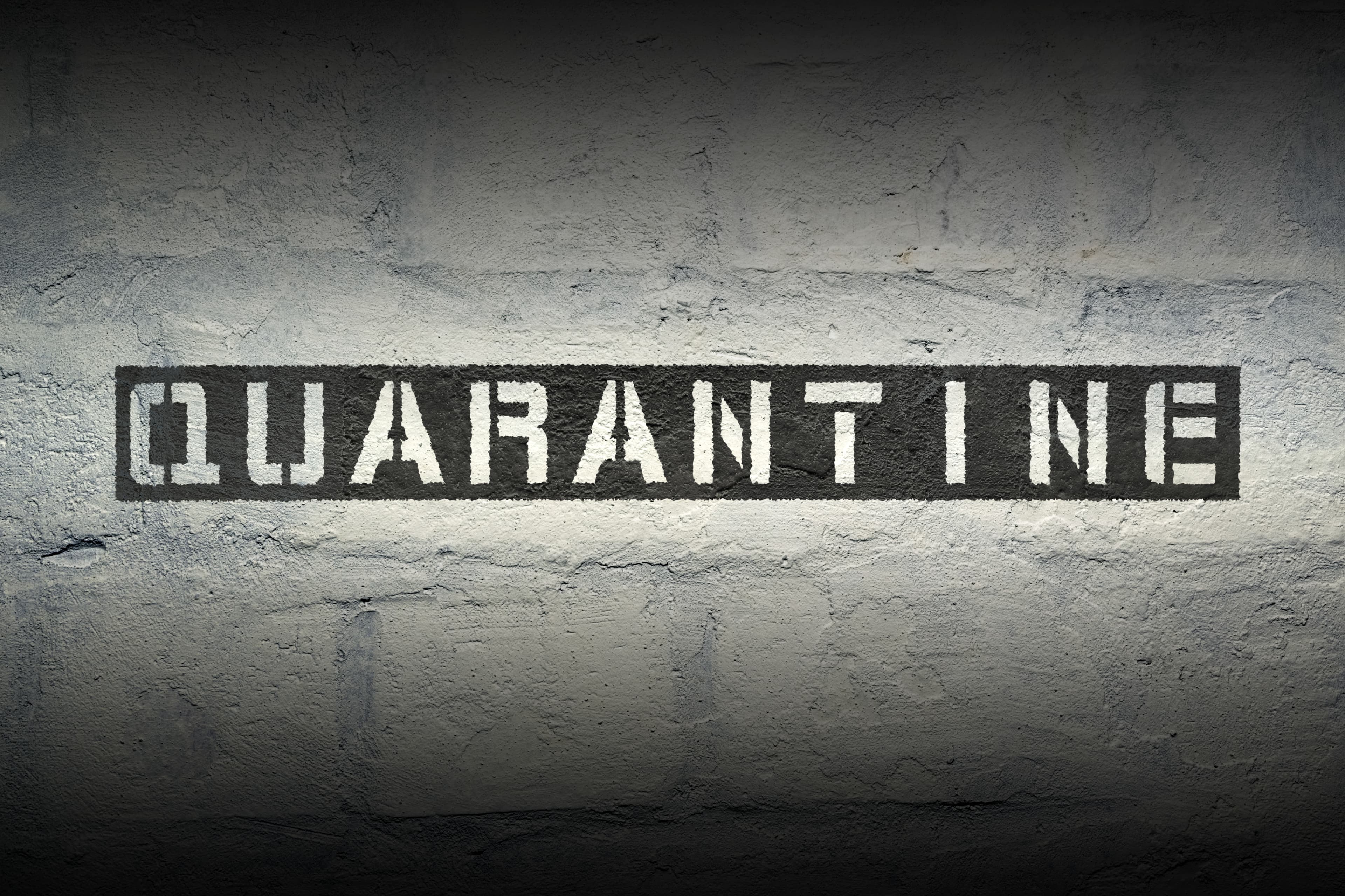 quarantine stencil print on the grunge white brick wall