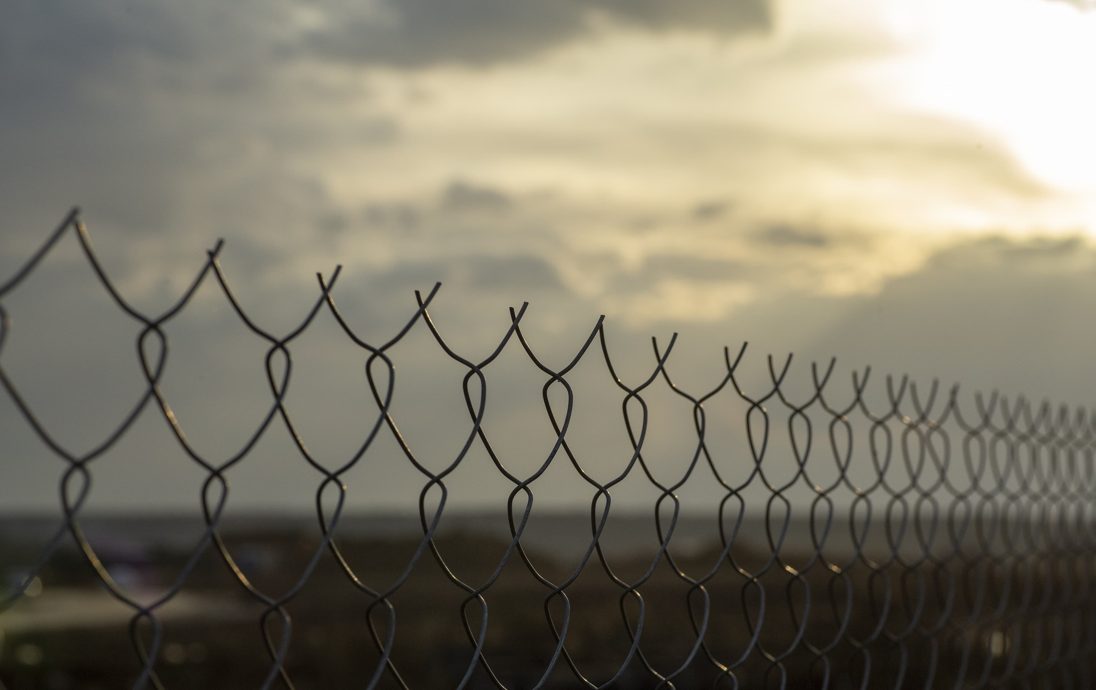 Restricted area concept. A metal mesh fence enclosing a restricted area (quarantine, prison, production area)