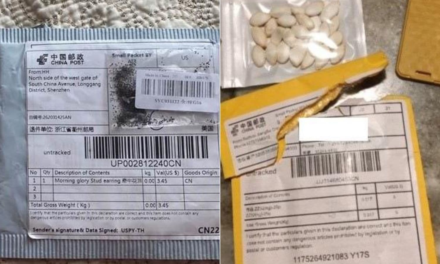 Photos of packaging and unsolicited seeds received by Alabama residents.
