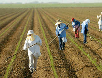 immigration_jobs