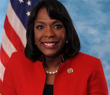 rep terriswelle