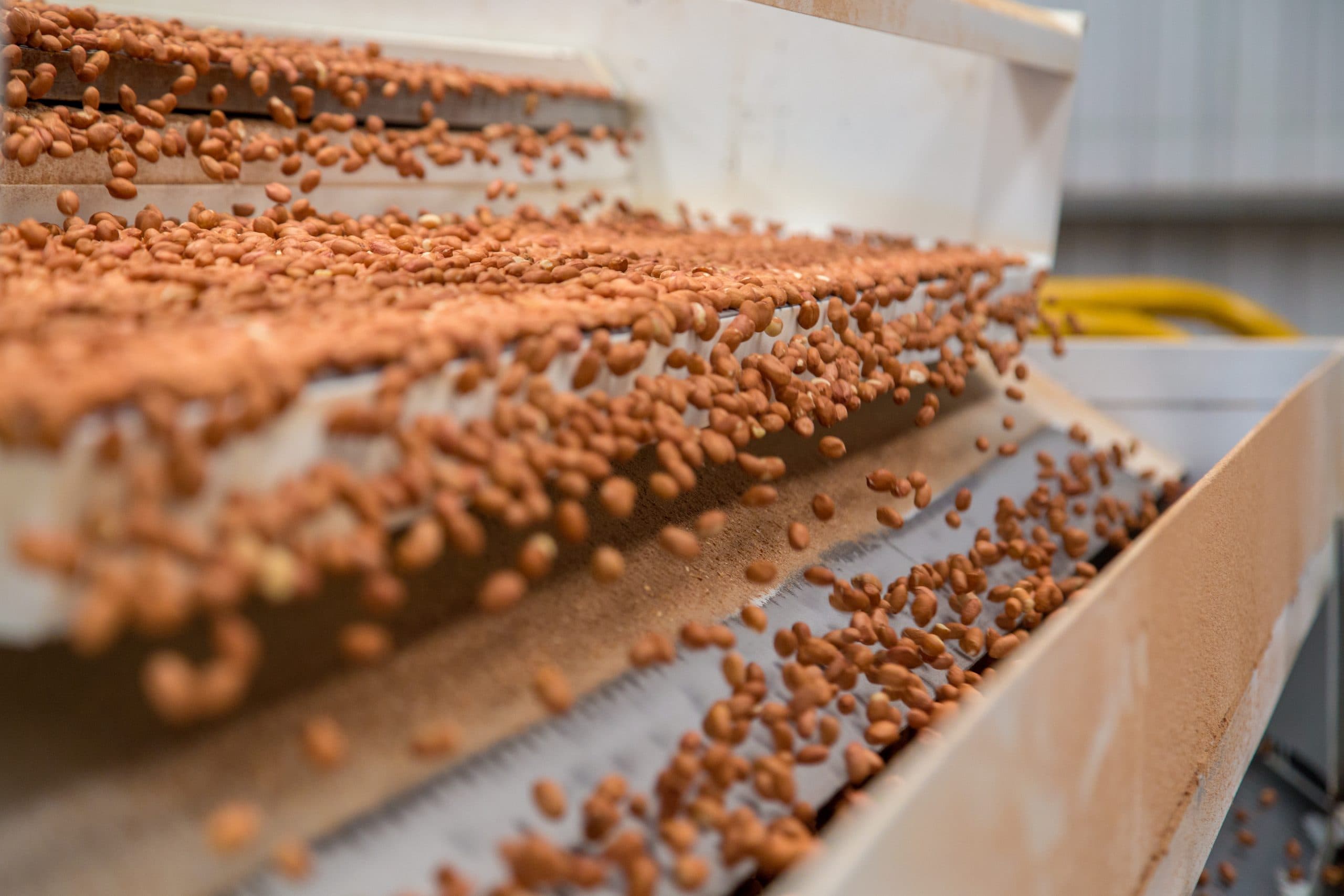 peanut process industry brazil